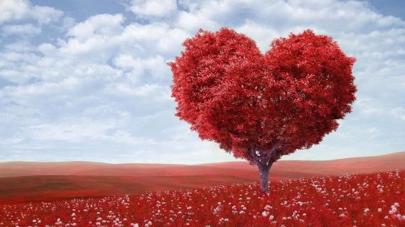 Tree shaped like a heart